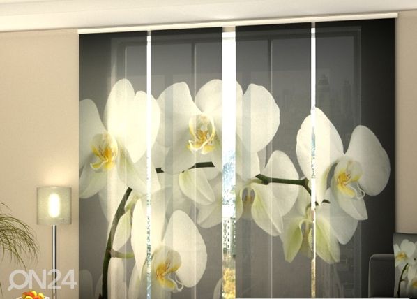 Läbipaistev paneelkardin Song Orchids 240x240 cm