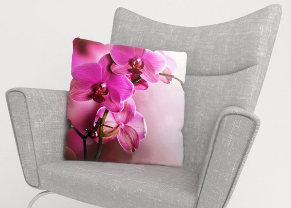 Dekoratiivpadjapüür Purple Orchid