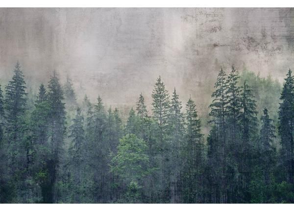 Fliis fototapeet Forest Abstract