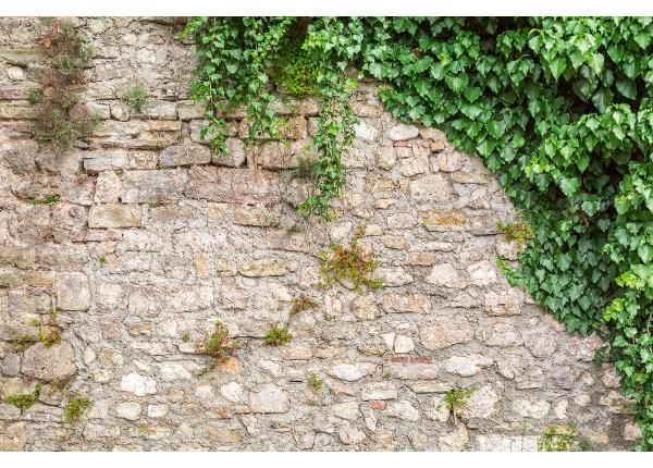 Fliis fototapeet Stone Wall With Leaves