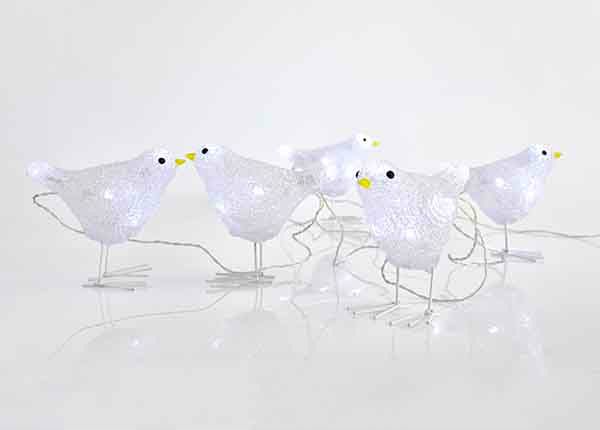 LED linnud