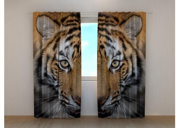 Pimendav fotokardin Siberian Tiger 240x220 cm