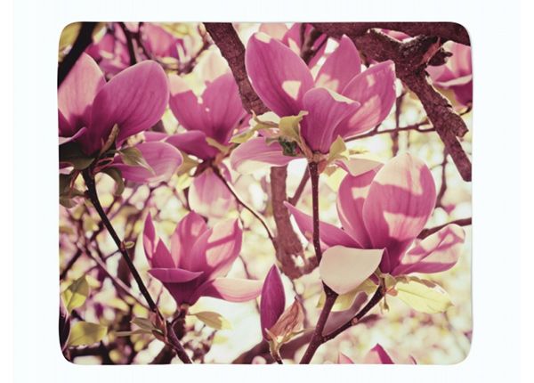 Pleed Pink Magnolias