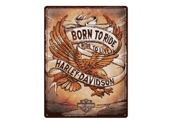Retro metallposter Harley Davidson - Born to Ride Eagle 30x40 cm