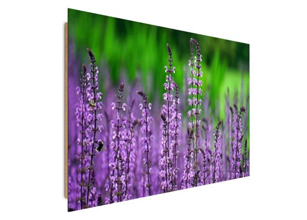 Seinapilt Blooming lavender 30x40 cm