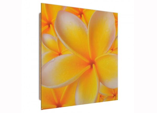 Seinapilt Frangipani flower 3D 30x30 cm