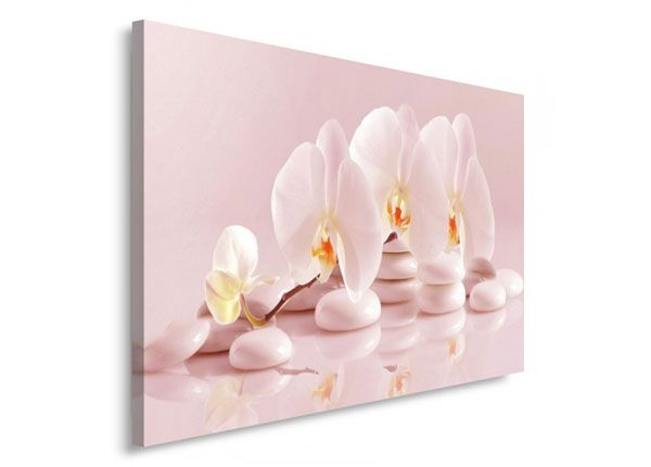 Seinapilt Orchid 60x80 cm