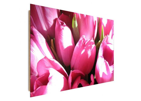Seinapilt Pink tulips 70x100 cm