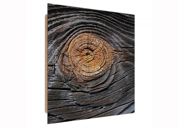 Seinapilt Tree bark 3D 30x30 cm