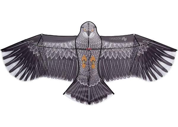Tuulelohe Eagle Dragonfly
