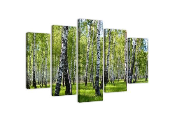 Viieosaline seinapilt Birch trees 150x100 cm