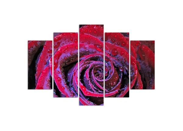 Viieosaline seinapilt Dew rose 100x70 cm