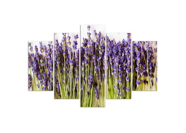 Viieosaline seinapilt Lavender 100x70 cm