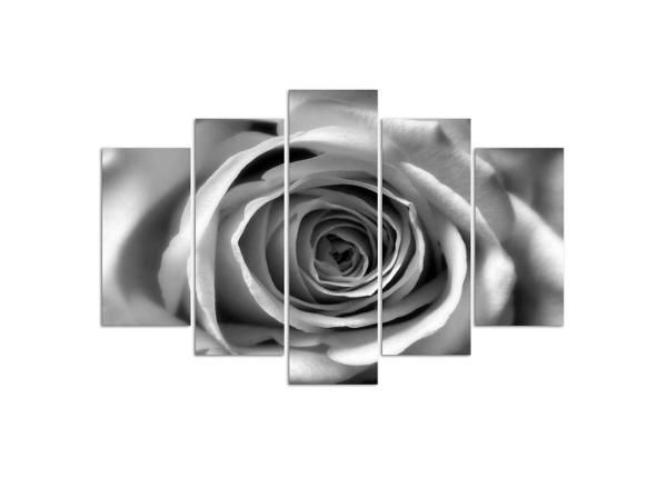 Viieosaline seinapilt Rose Flower