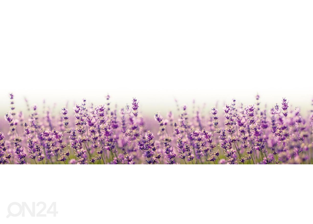 Köögi tagasein Fabulous lavender 180x60 cm suurendatud