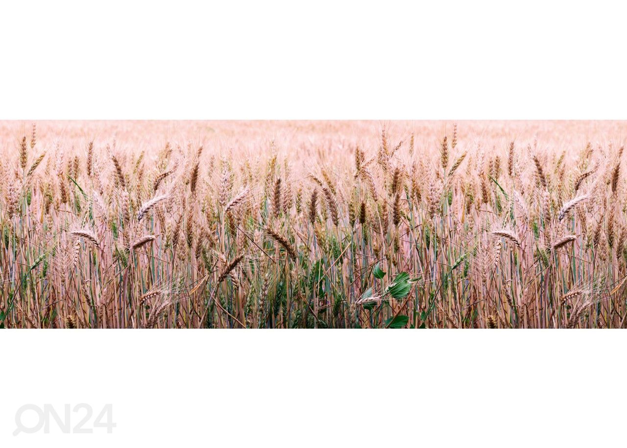Köögi tagasein Wheat field 180x60 cm suurendatud