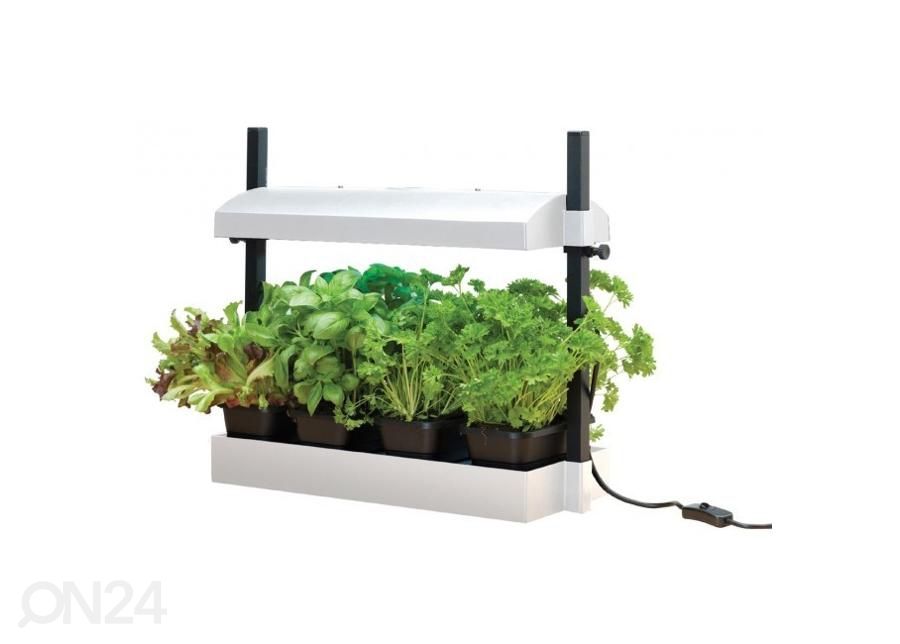 Valgustusega ettekasvatuskast Micro Grow Light Garden 11 W, valge suurendatud