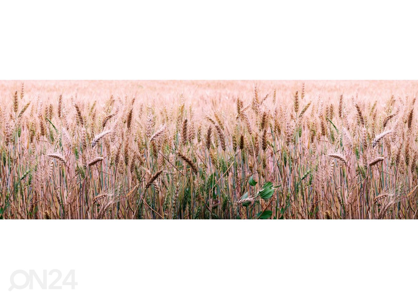 Köögi tagasein Wheat field 180x60 cm suurendatud