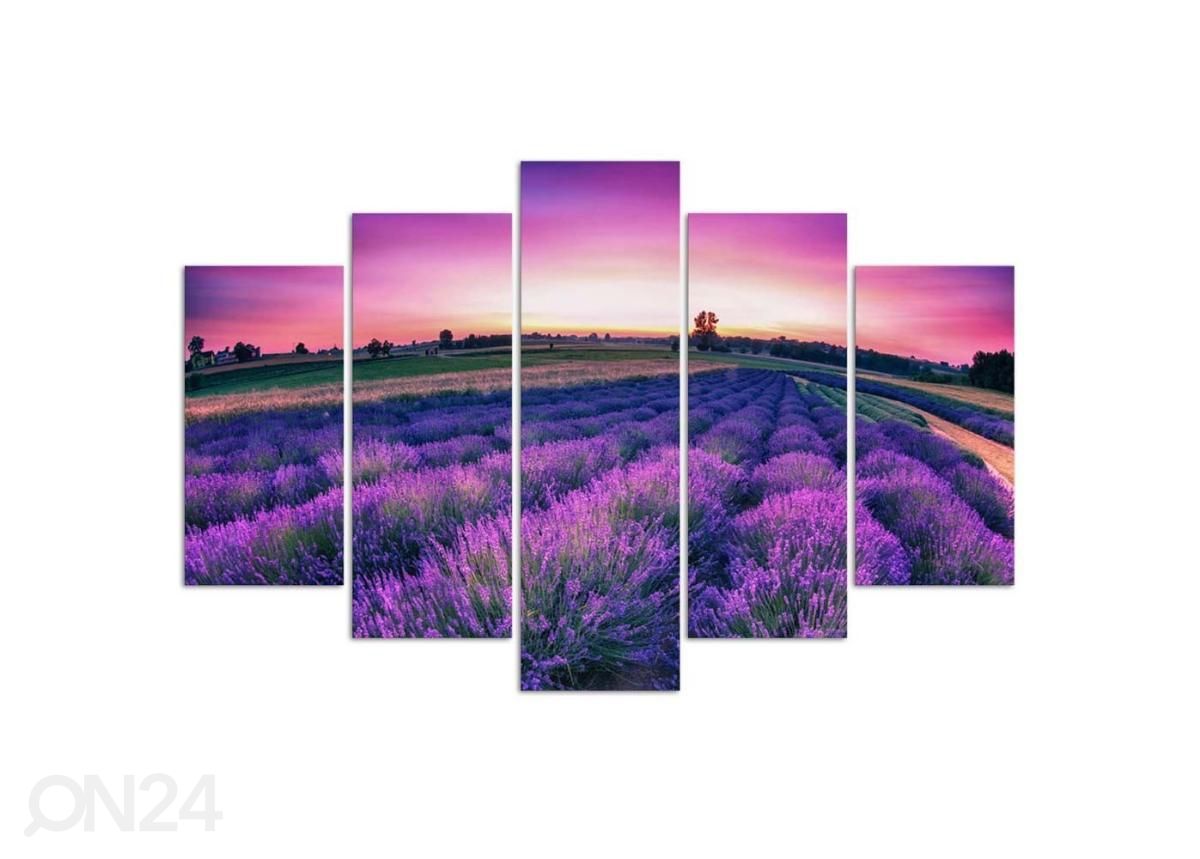 Viieosaline seinapilt Lavender Field 100x70 cm suurendatud