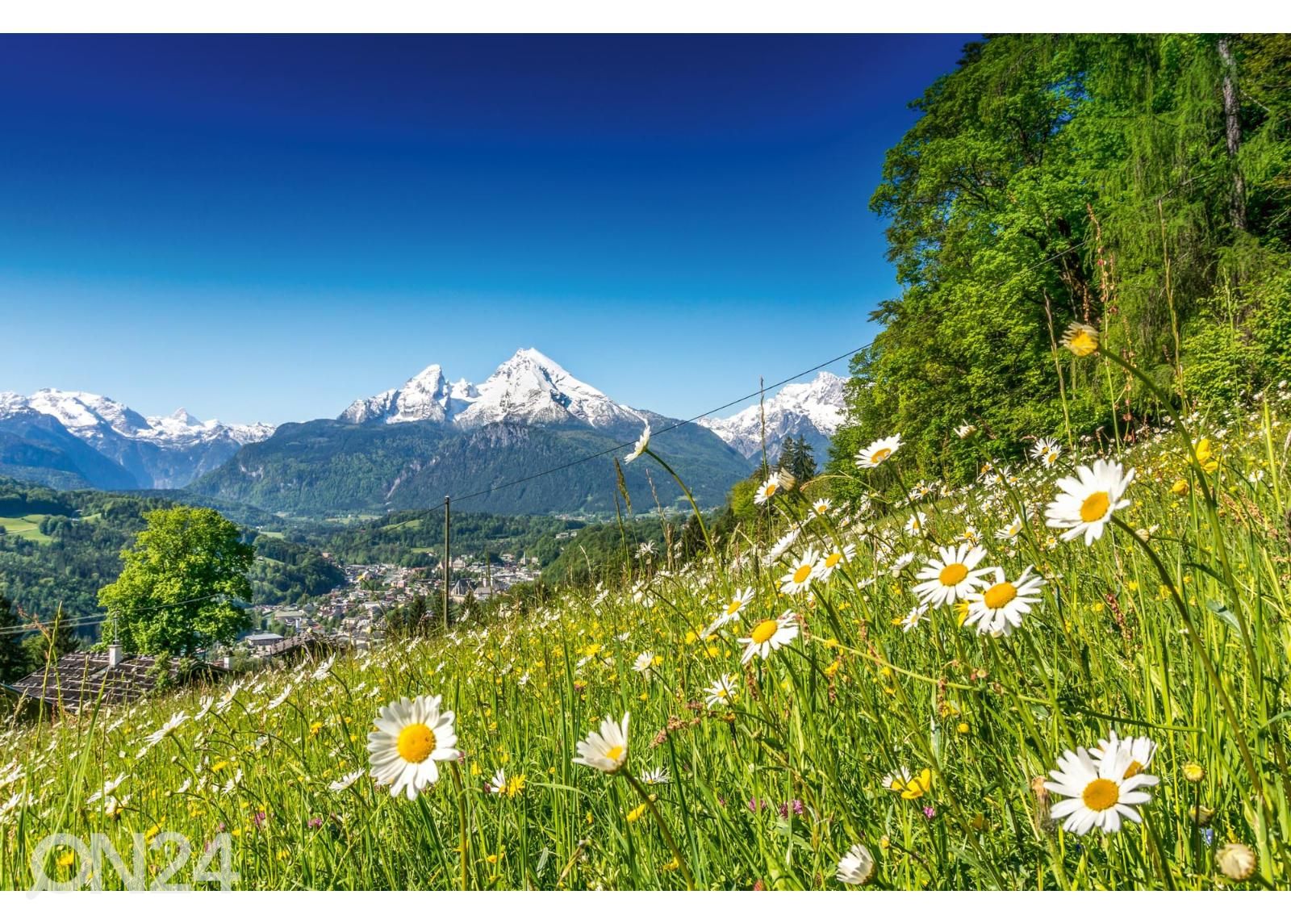Fliis fototapeet Alpine Landscape suurendatud