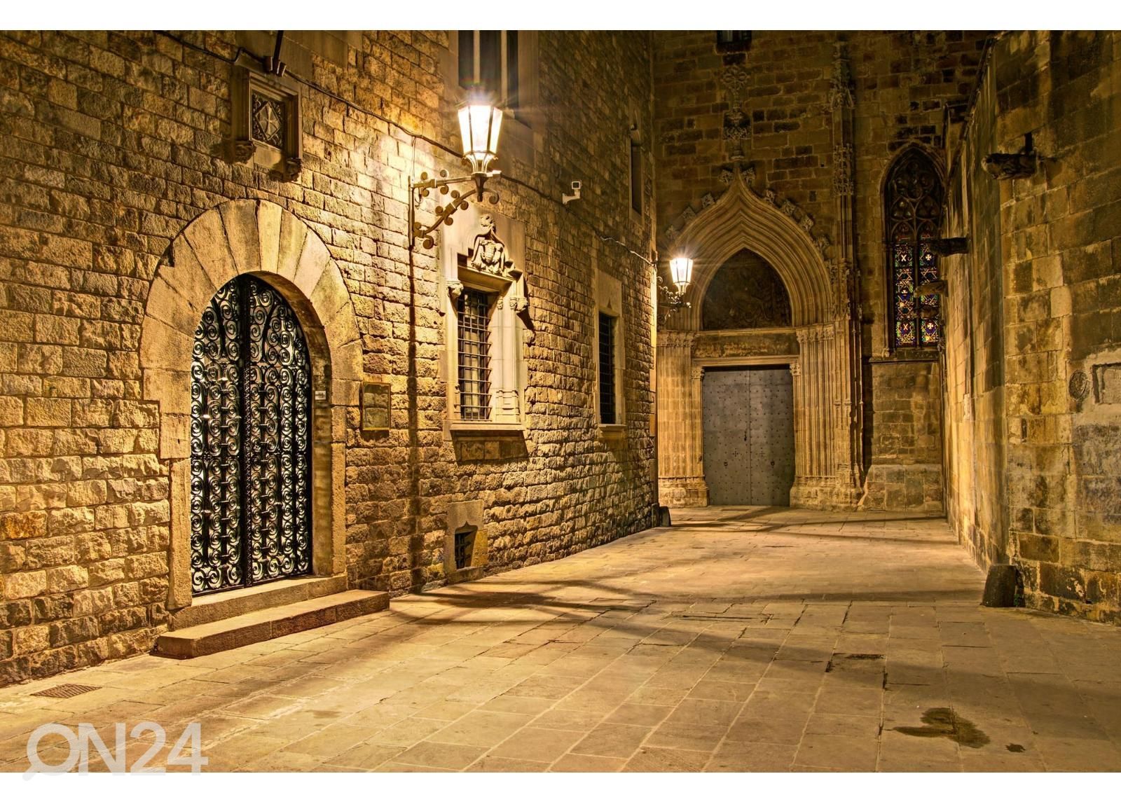 Fliis fototapeet Gothic Quarter Barcelona suurendatud