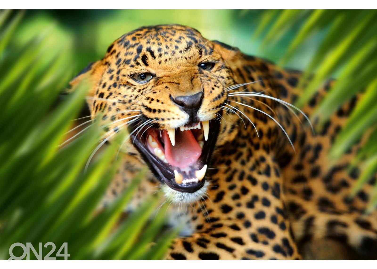 Fliis fototapeet Leopard Portrait In Jungle suurendatud