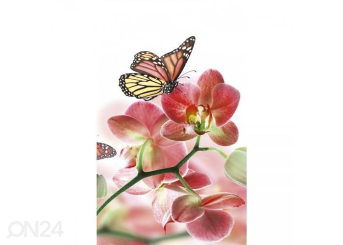 Fliis fototapeet Orchids and butterfly 150x250 cm suurendatud