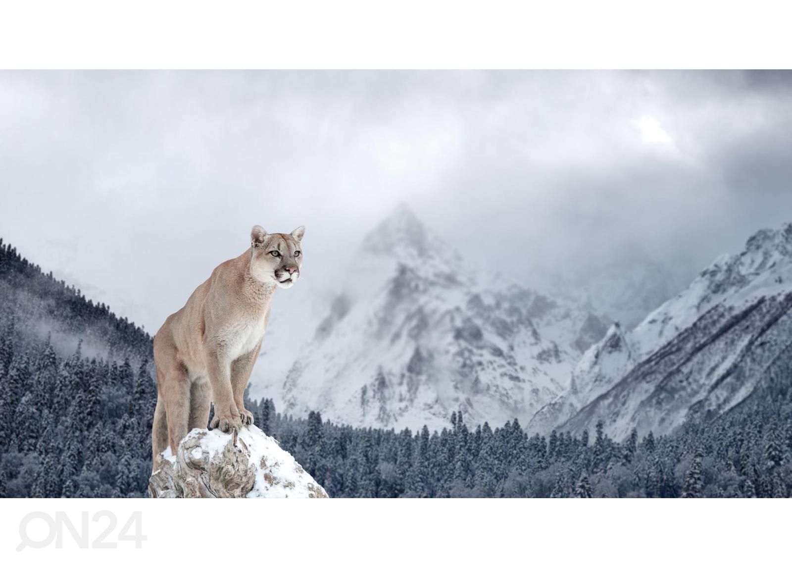 Fliis fototapeet Portrait Of A Cougar suurendatud