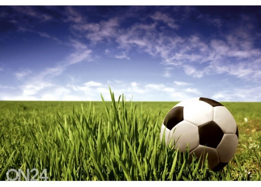 Fliis fototapeet Soccer ball 150x250 cm suurendatud