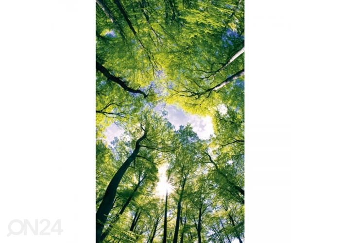Fliis fototapeet Trees 150x250 cm suurendatud