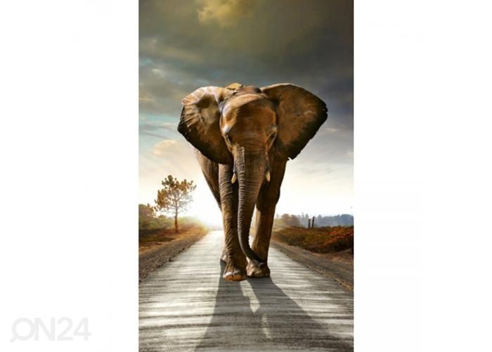Fliis fototapeet Walking elephant 150x250 cm suurendatud