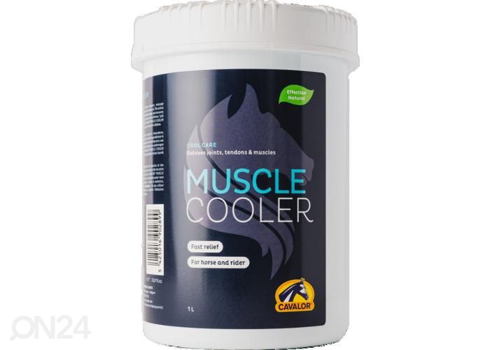 Hobuse külmageel muscle cooler 1 L suurendatud