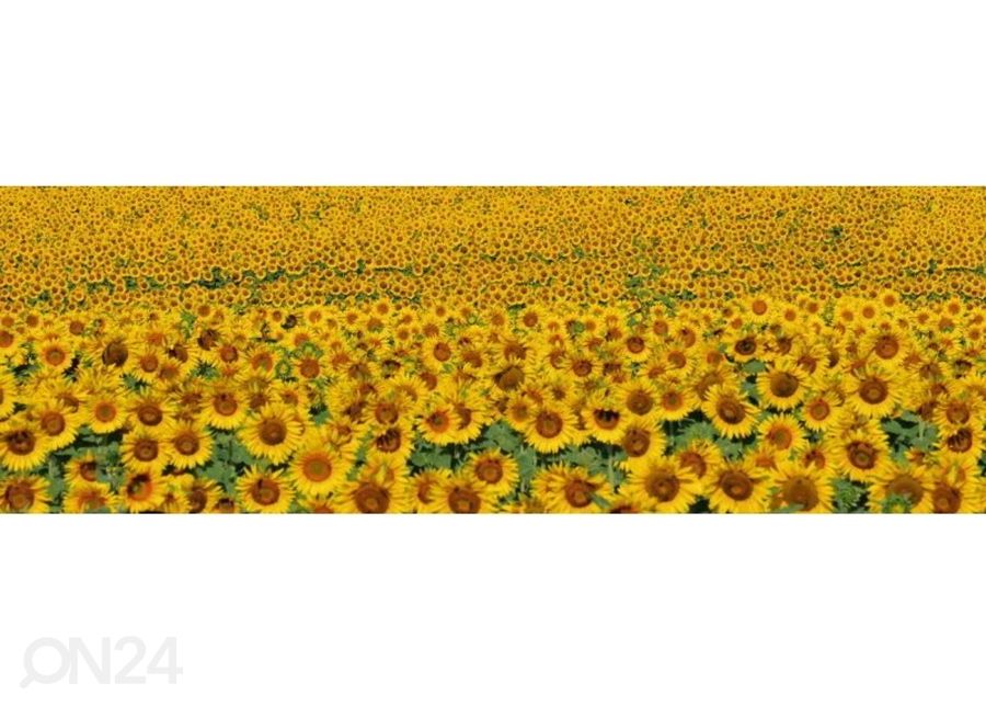 Köögi tagasein Sunflowers 180x60 cm suurendatud