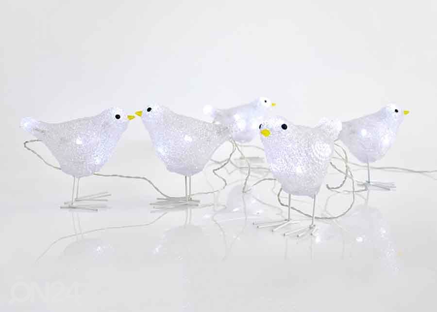 LED linnud suurendatud