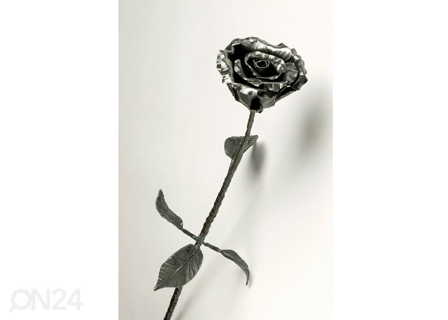 Sepistatud roos suurendatud