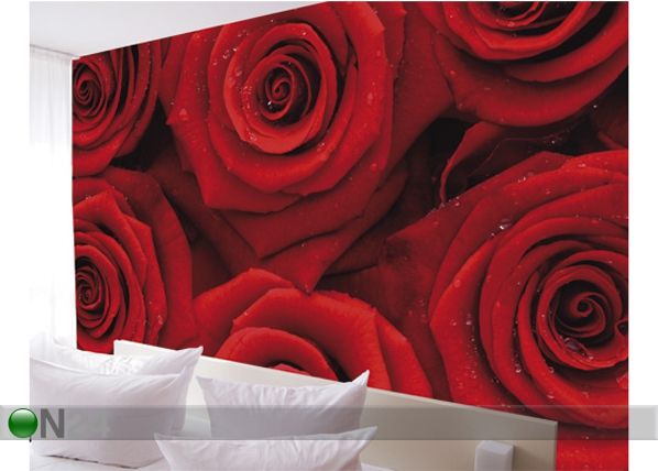 Fototapeet Sea of roses 400x280 cm