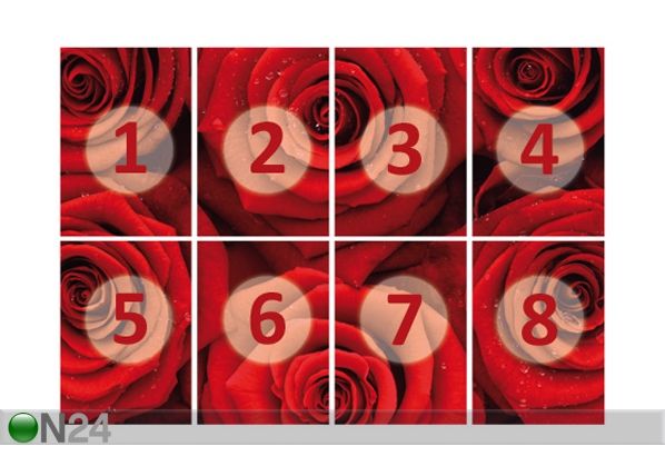 Fototapeet Sea of roses 400x280 cm