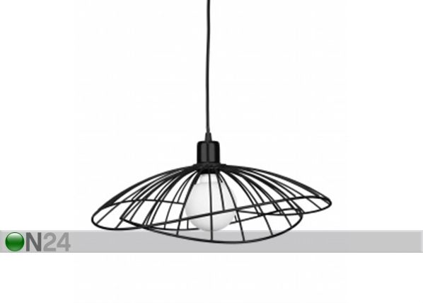 Laelamp Ray