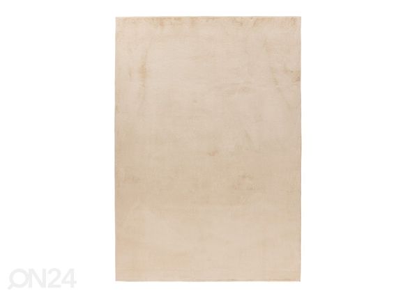 Vaip LOFT Beige 200x290 cm