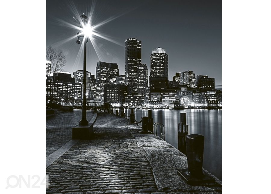 Fliis fototapeet Boston 150x250 cm suurendatud