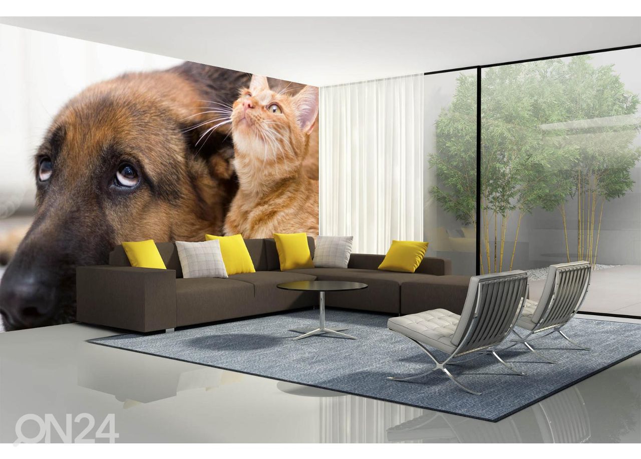 Fliis fototapeet Cat And Dog Together suurendatud