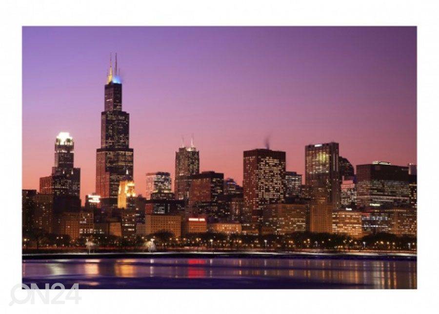 Fliis fototapeet Chicago Skyline suurendatud