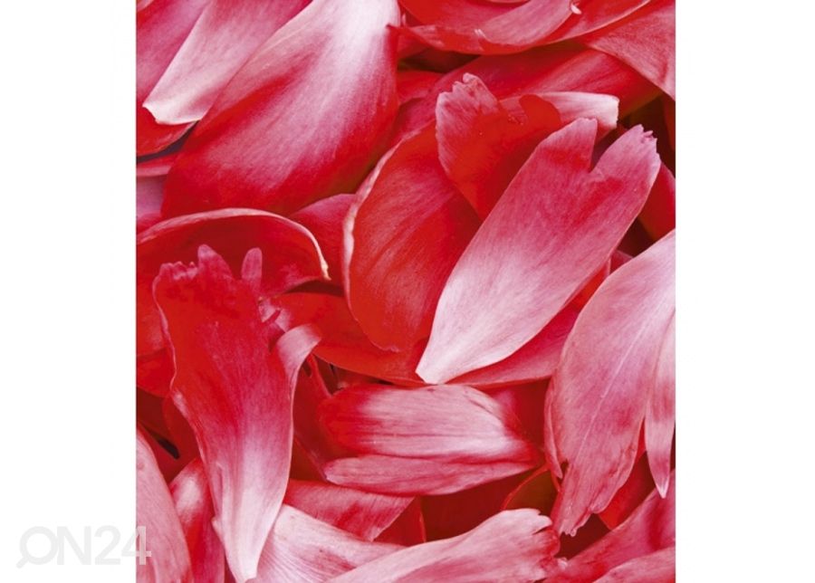 Fliis fototapeet Red petals 225x250 cm suurendatud