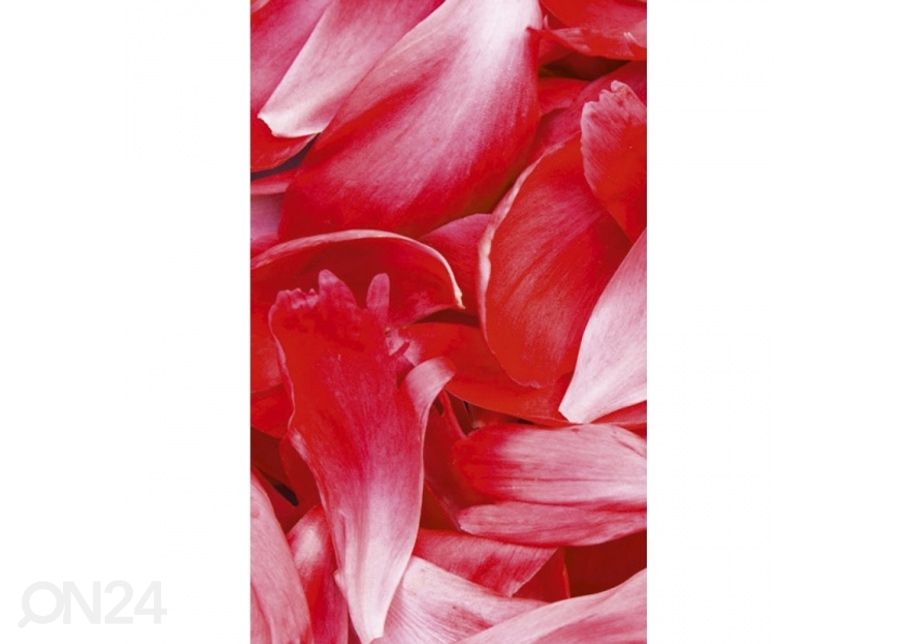 Fliis fototapeet Red petals 225x250 cm suurendatud