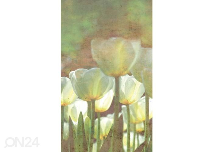 Fliis fototapeet White Tulips Abstract 150x250 cm suurendatud