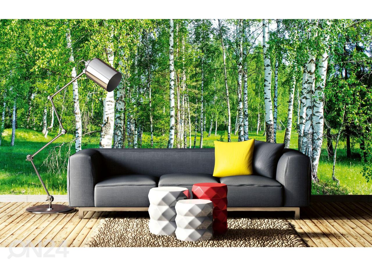 Isekleepuv fototapeet Wall Mural Birch Grow suurendatud