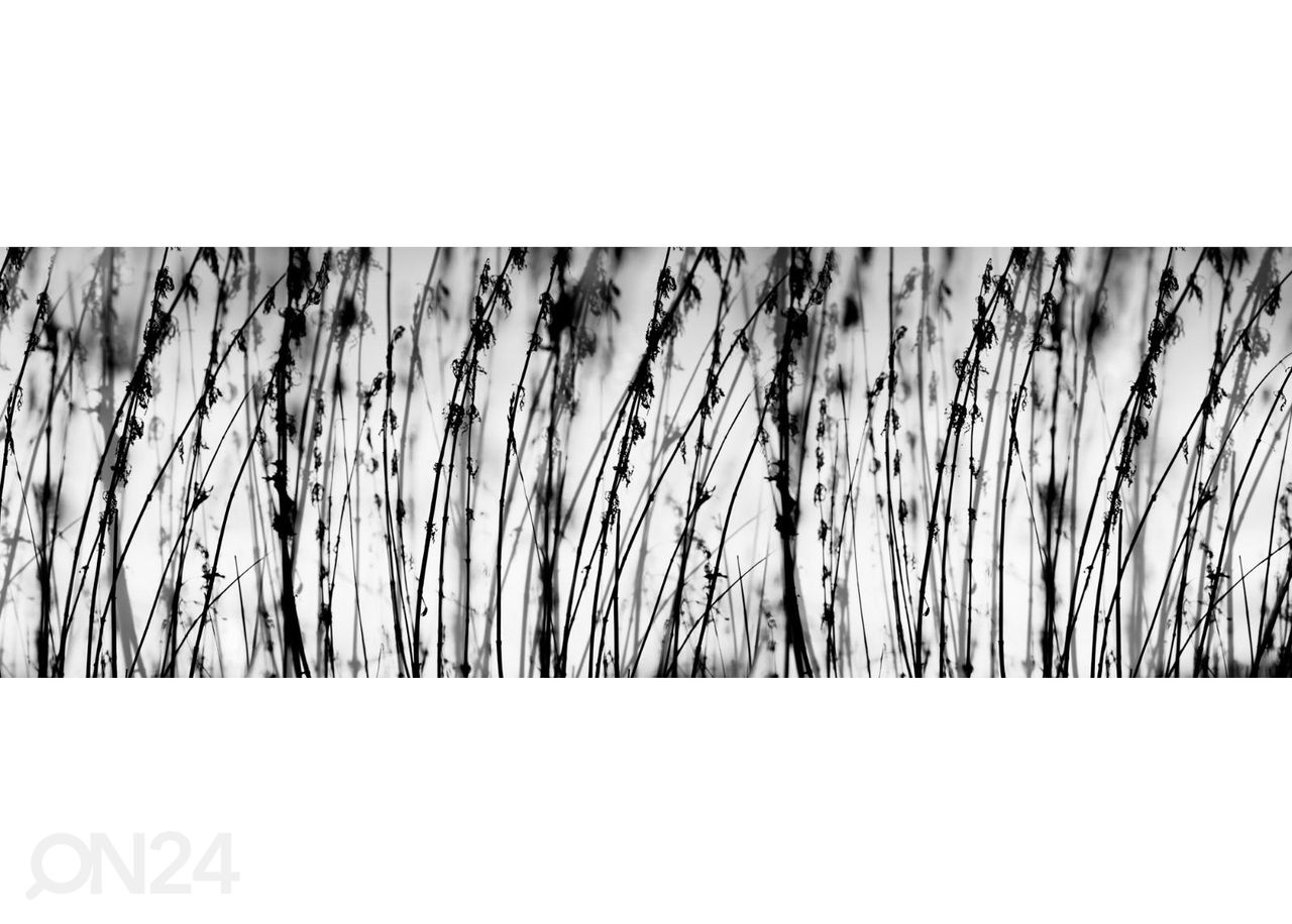 Köögi tagasein Black and white grass 180x60 cm suurendatud