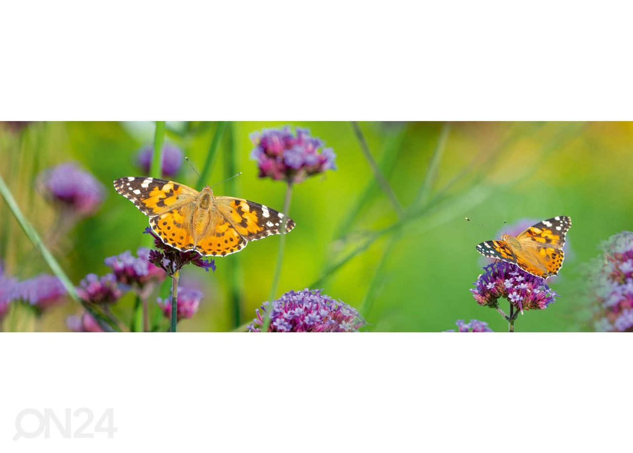 Köögi tagasein Butterflies 180x60 cm suurendatud