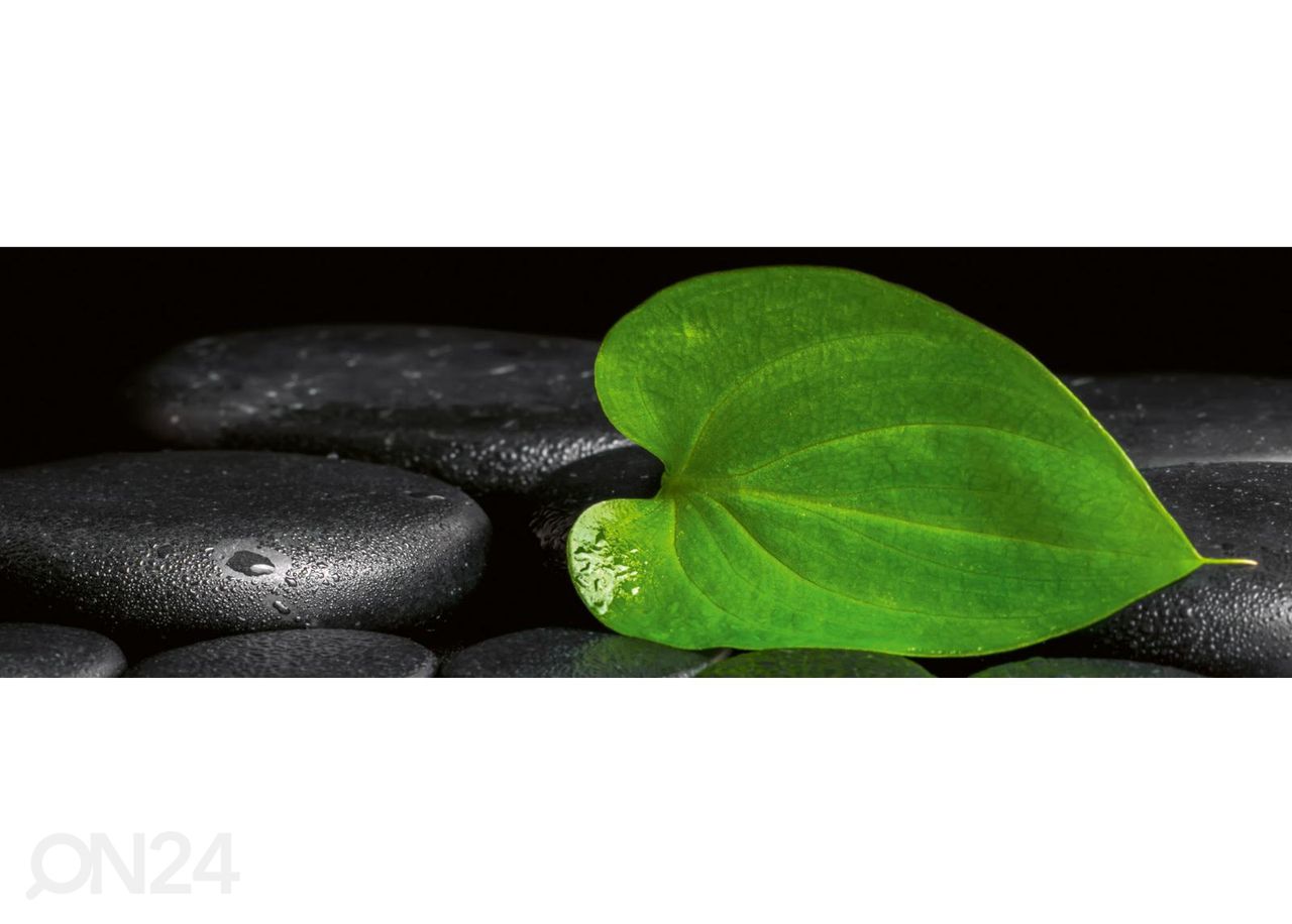 Köögi tagasein Green Leaf Spa 180x60 cm suurendatud