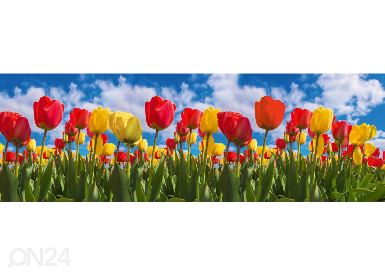 Köögi tagasein Spring tulip field 180x60 cm suurendatud